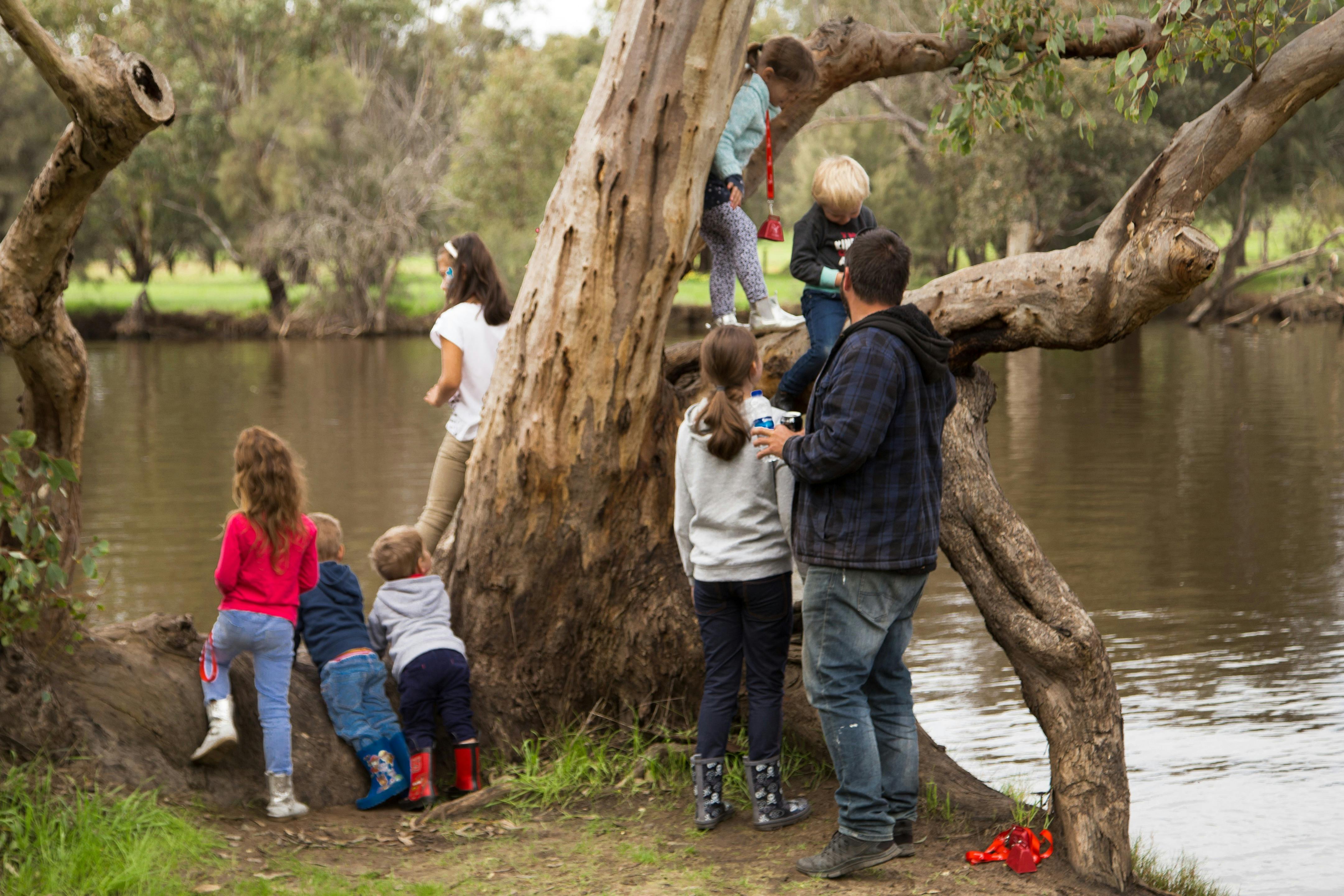 Lilac Hill Swan Valley overlooking the Swan River