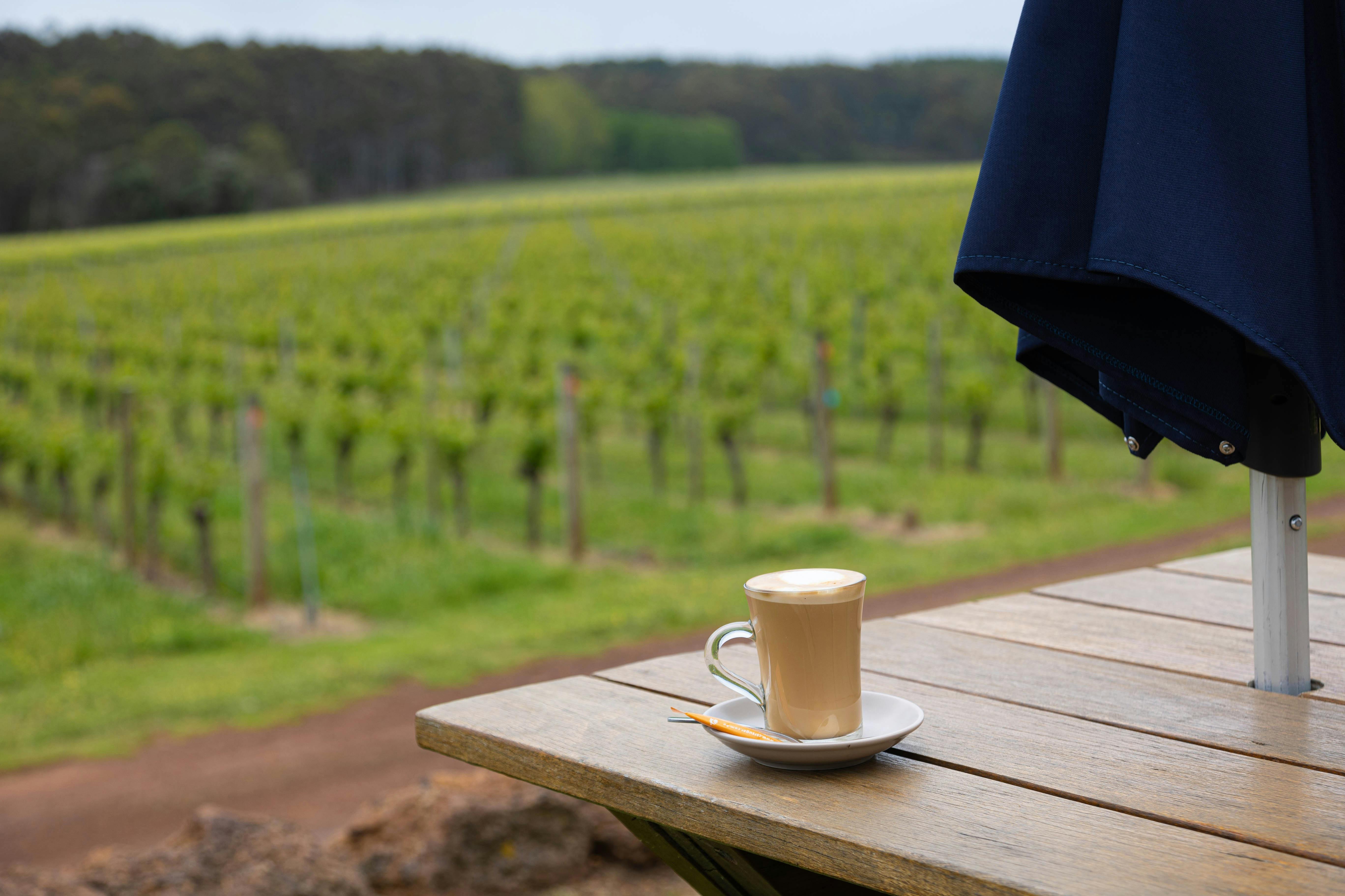 Coffee on a table overlooking a vineyard