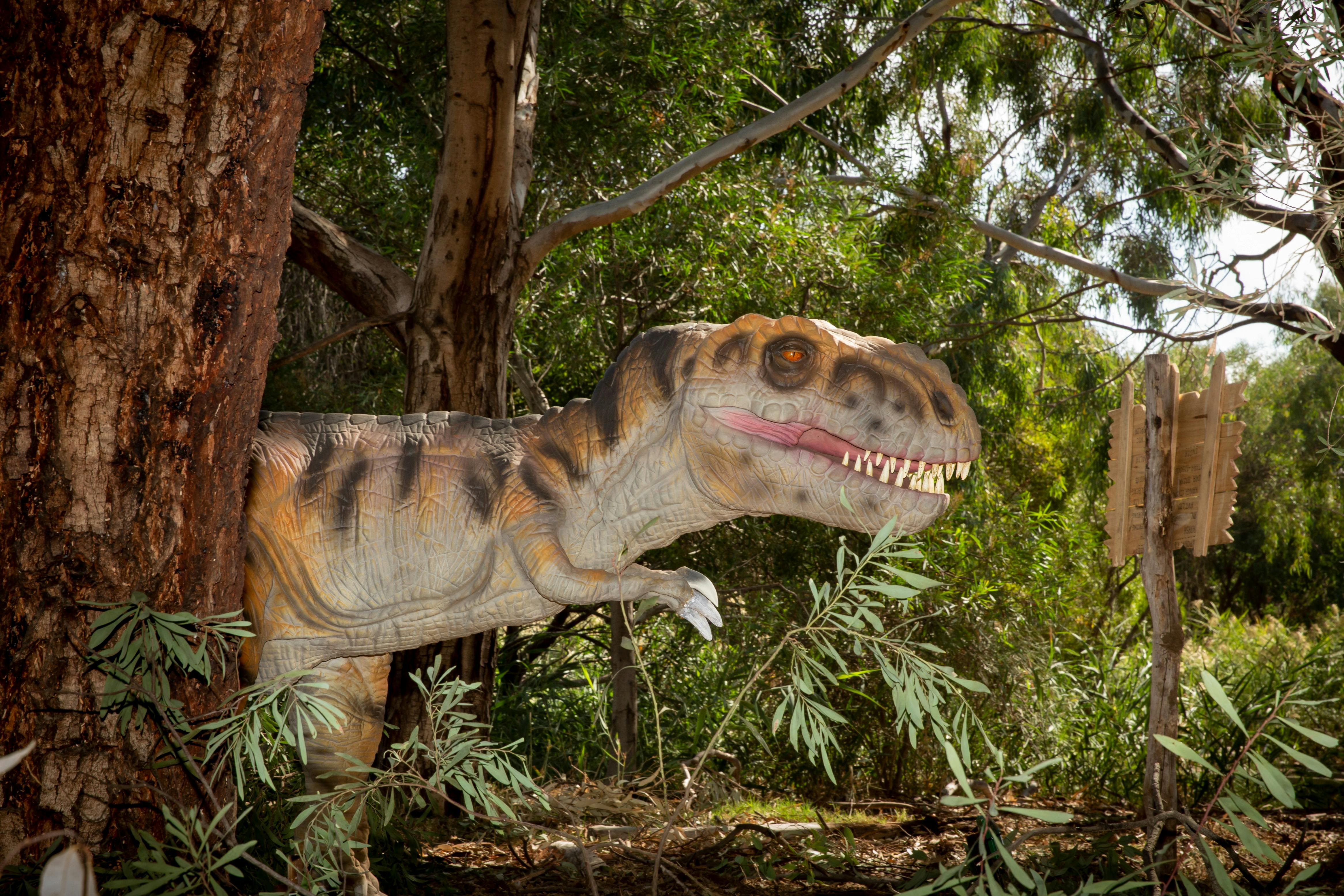 Dinos at the Zoo - Melbourne Zoo