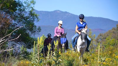 Forest Park trail rides.