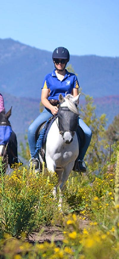 Forest Park trail rides.