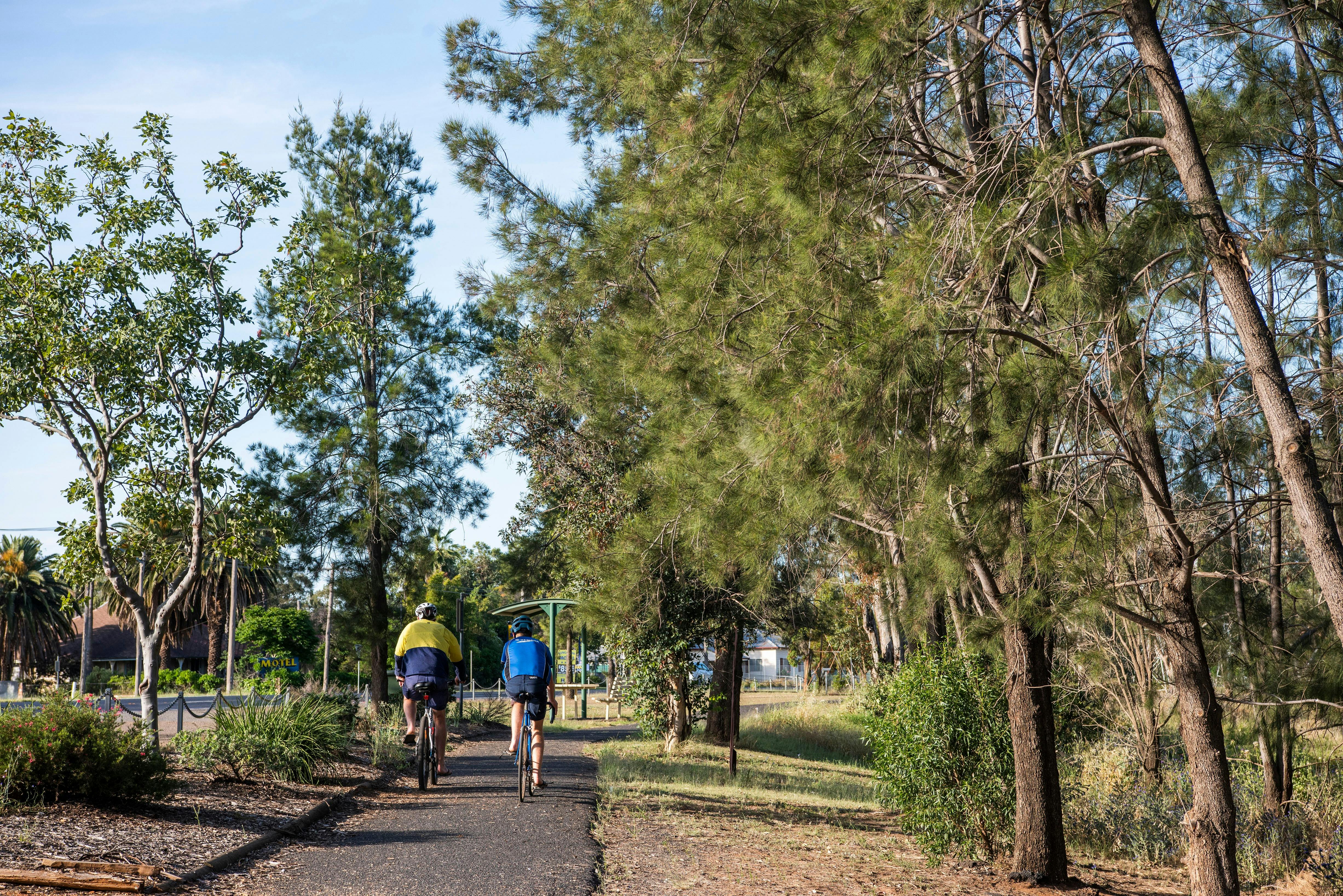 Windmill Walk Gilgandra Bike Riding