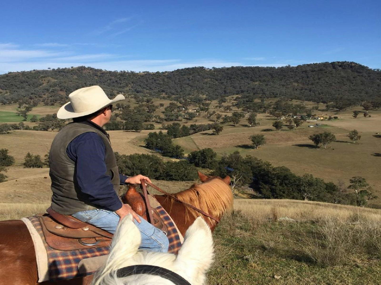 Tamworth and Kootingal Horse Riding Adventures NSW Holidays