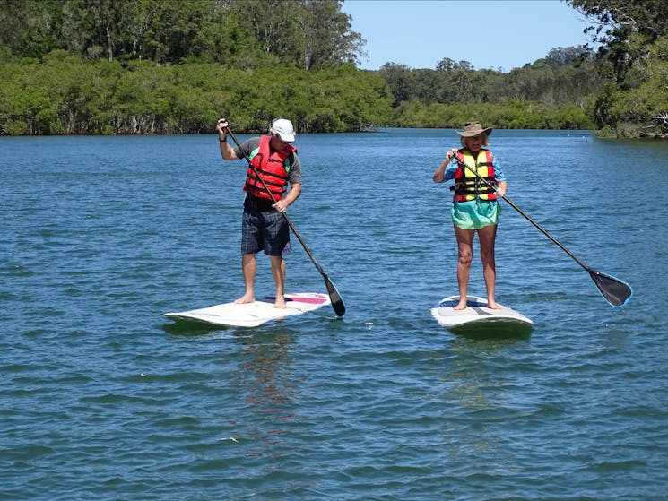 Eco Guided Kayak Tour or SUP Tour Three hours NSW Holidays