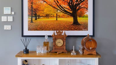 Photo of trees with Autumn leaves set in a local Canberra Park