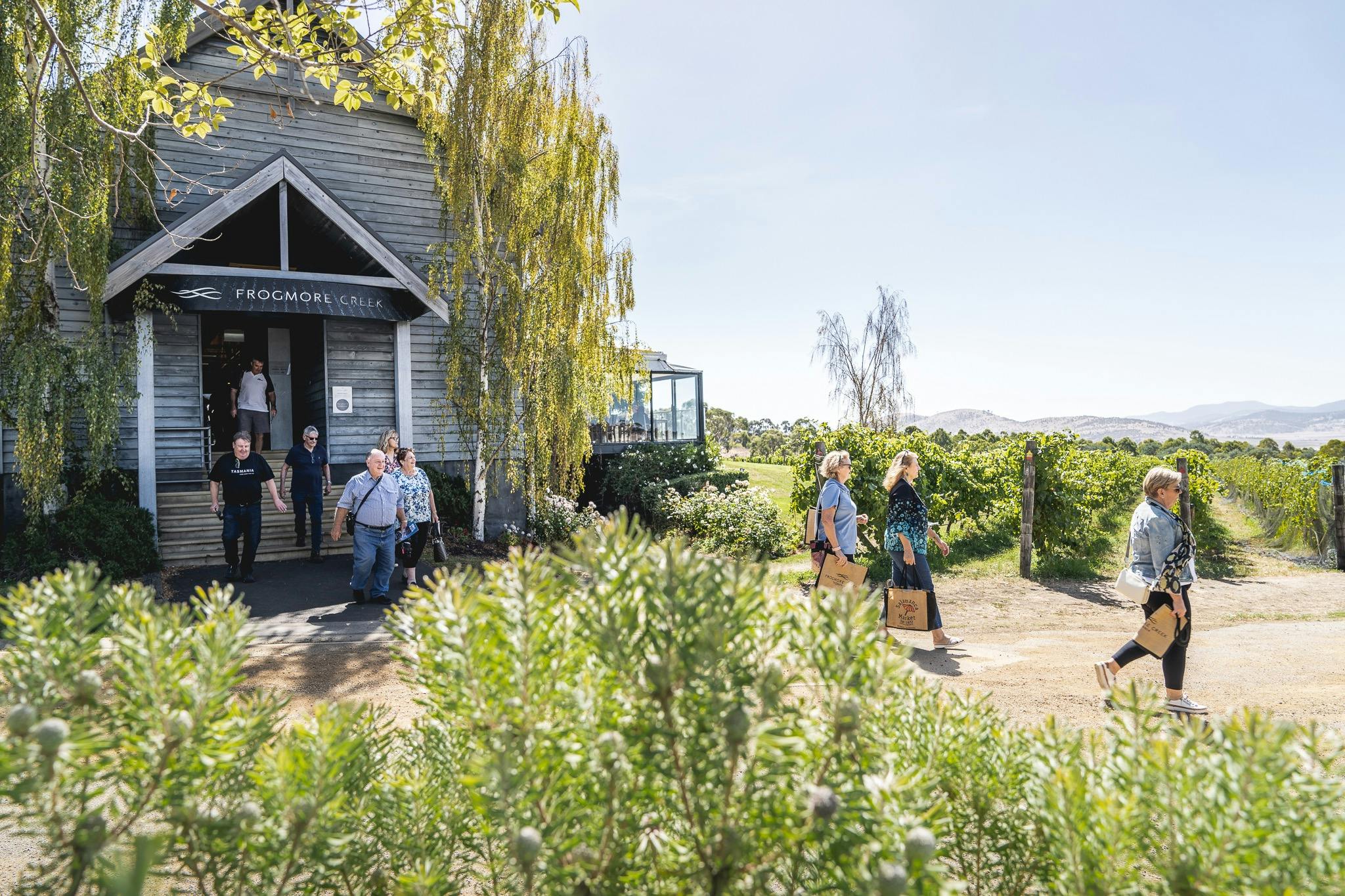 Guests at Frogmore Creek Winery with vineyard in the background