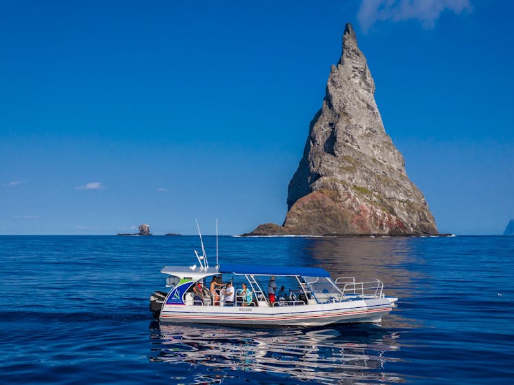 Onboard Reef N Beyond you will snorkel the best locations & see the amazing endemic marine life.