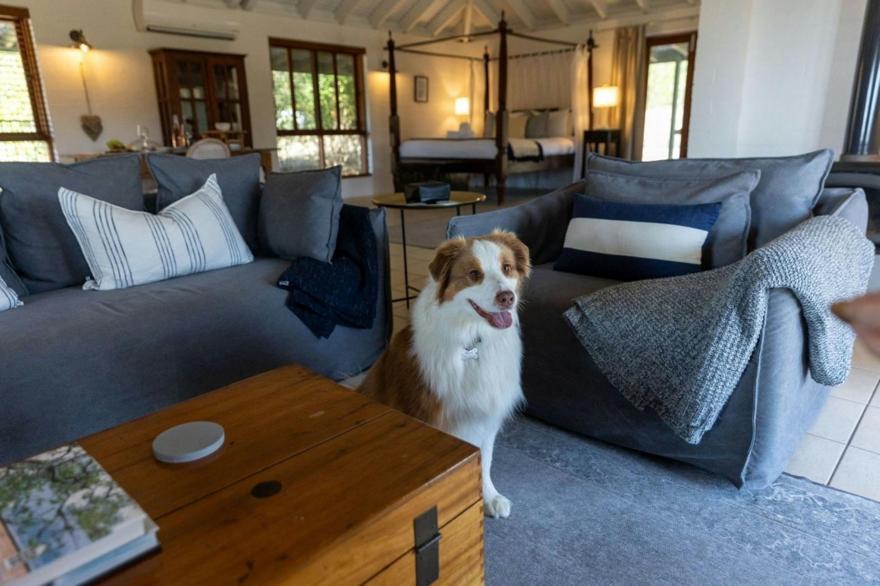 Sunset Ridge is a pet friendly cottage with beautiful sunset views
