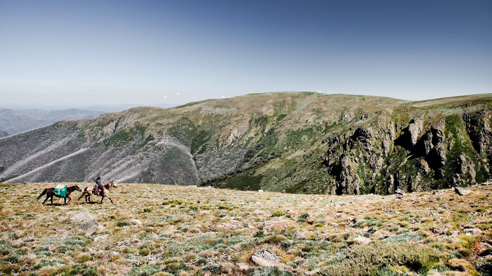 Bogong Horseback Adventures