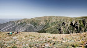 Crossing Mount Bogong