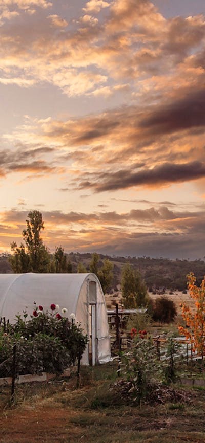 Collector Cottage Nature Views