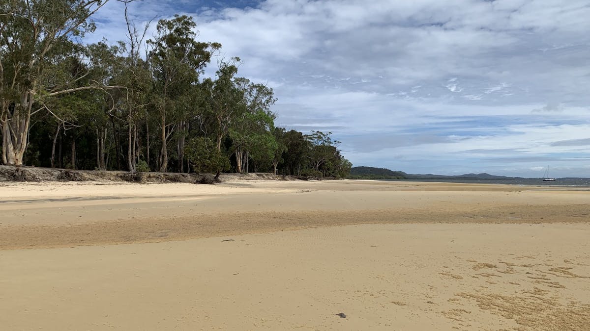 A long stretch of beach with trees lining the shoreline