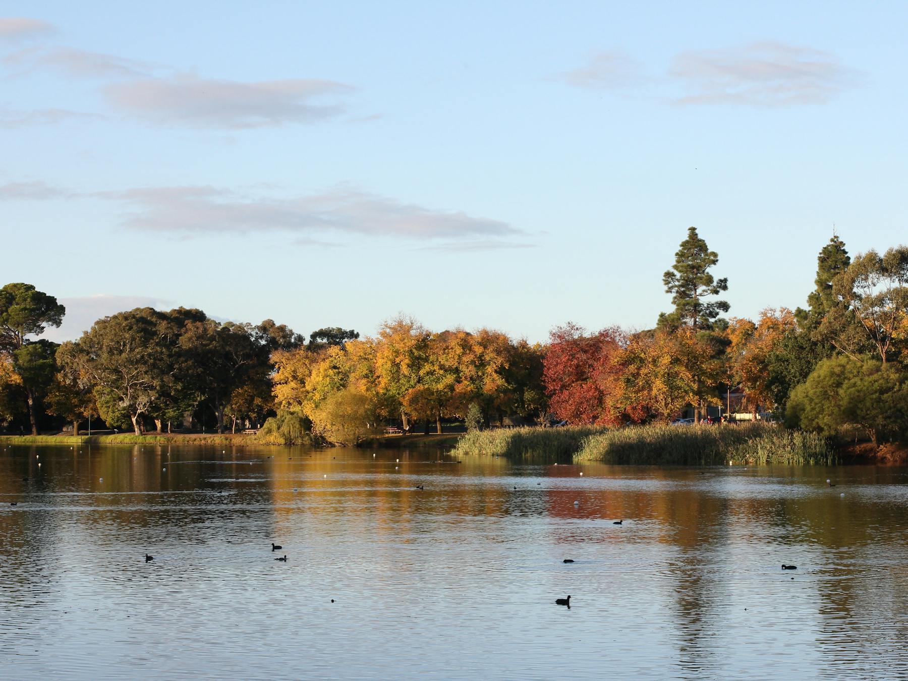 Lake Weeroona