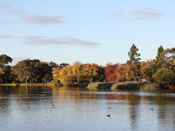 Lake Weeroona