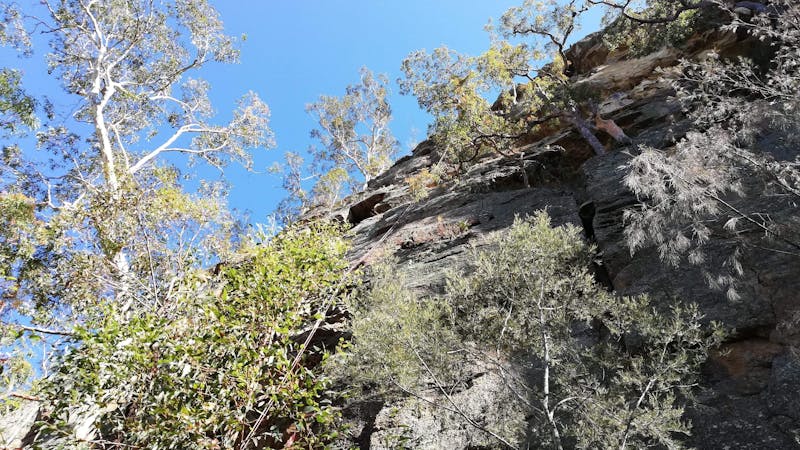 A view looking up the Mega Drop