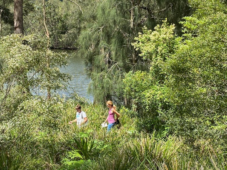 Riverside walk in Fishermans Paradise