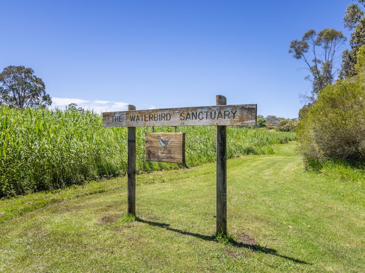 Panboola Wetlands, Pambula, Sapphire Coast NSW, birdwatching, walking, cycling