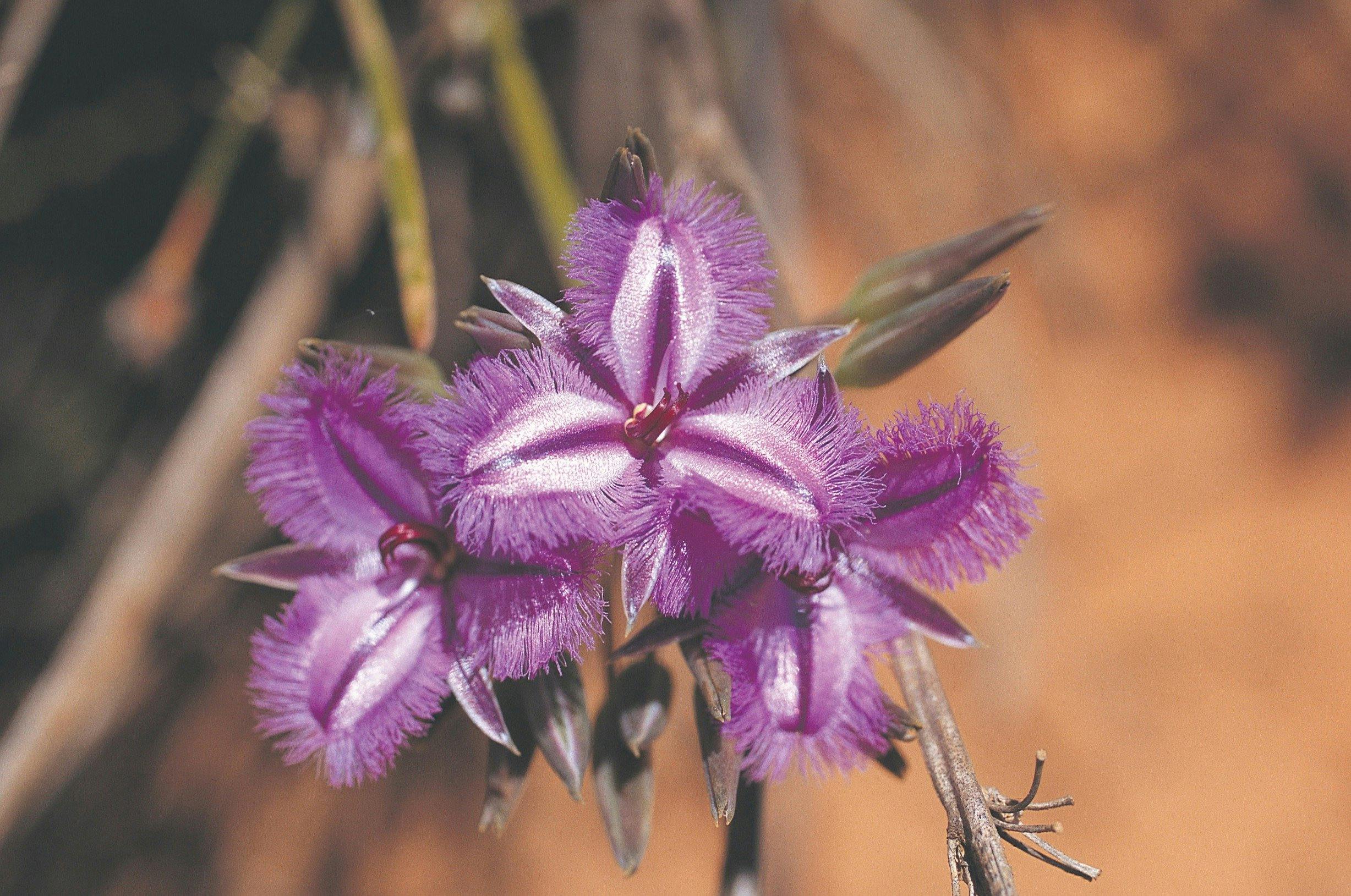 Moore River National Park, Western Australia