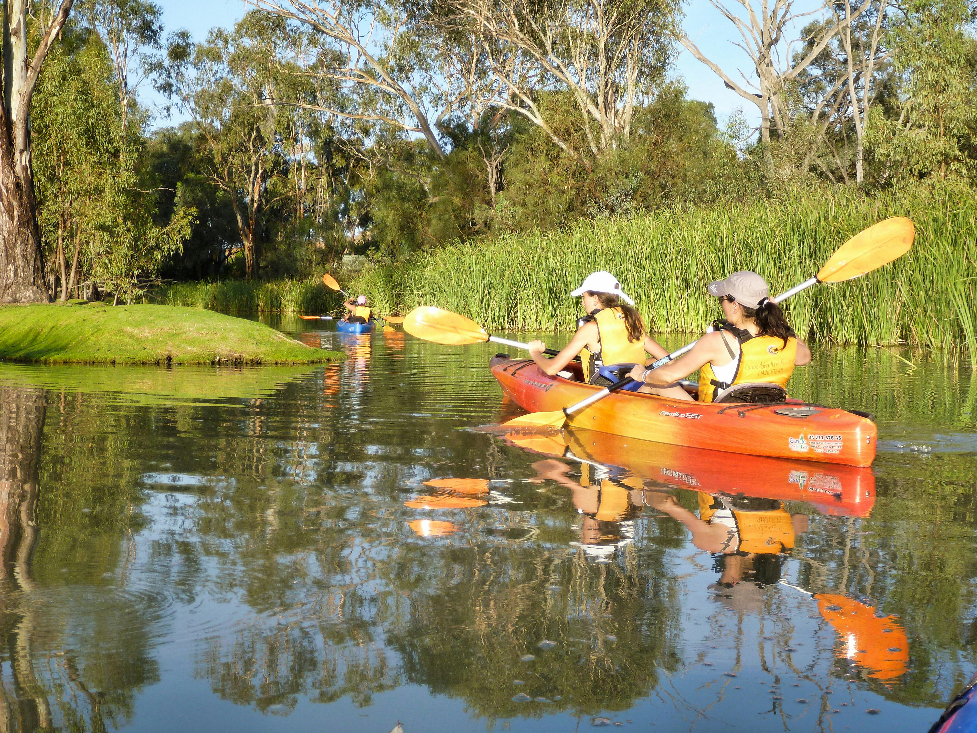 Mother and teen  daughter in double kayak approach a grassy knoll, with reeds and redgums behind.