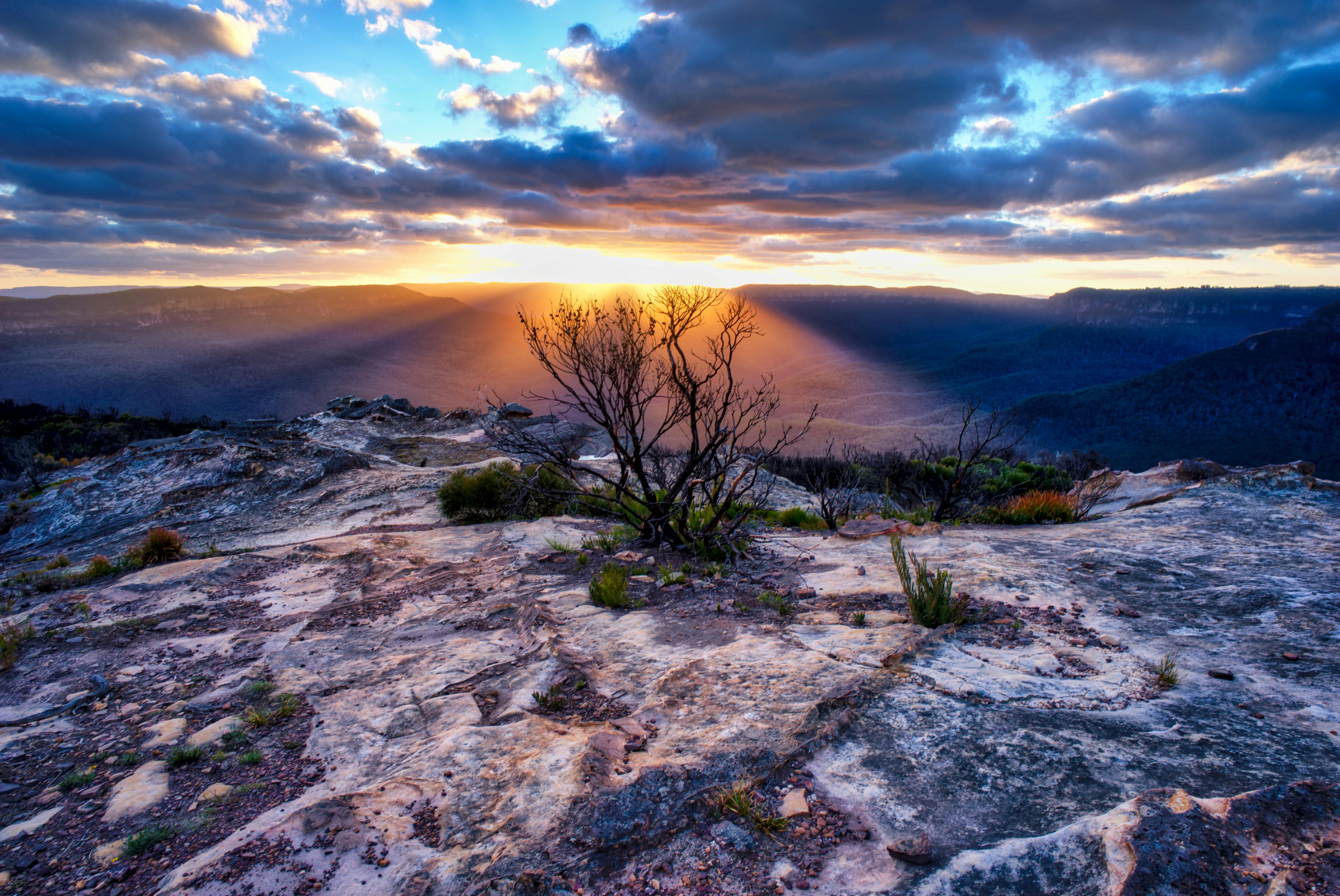 Kings Tableland Blue Mountains, Blue Mountains Eco Tours