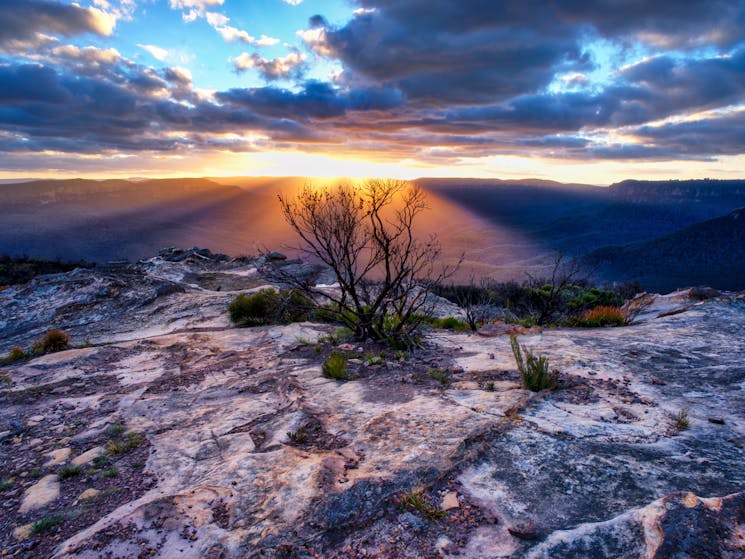 Kings Tableland Blue Mountains, Blue Mountains Eco Tours