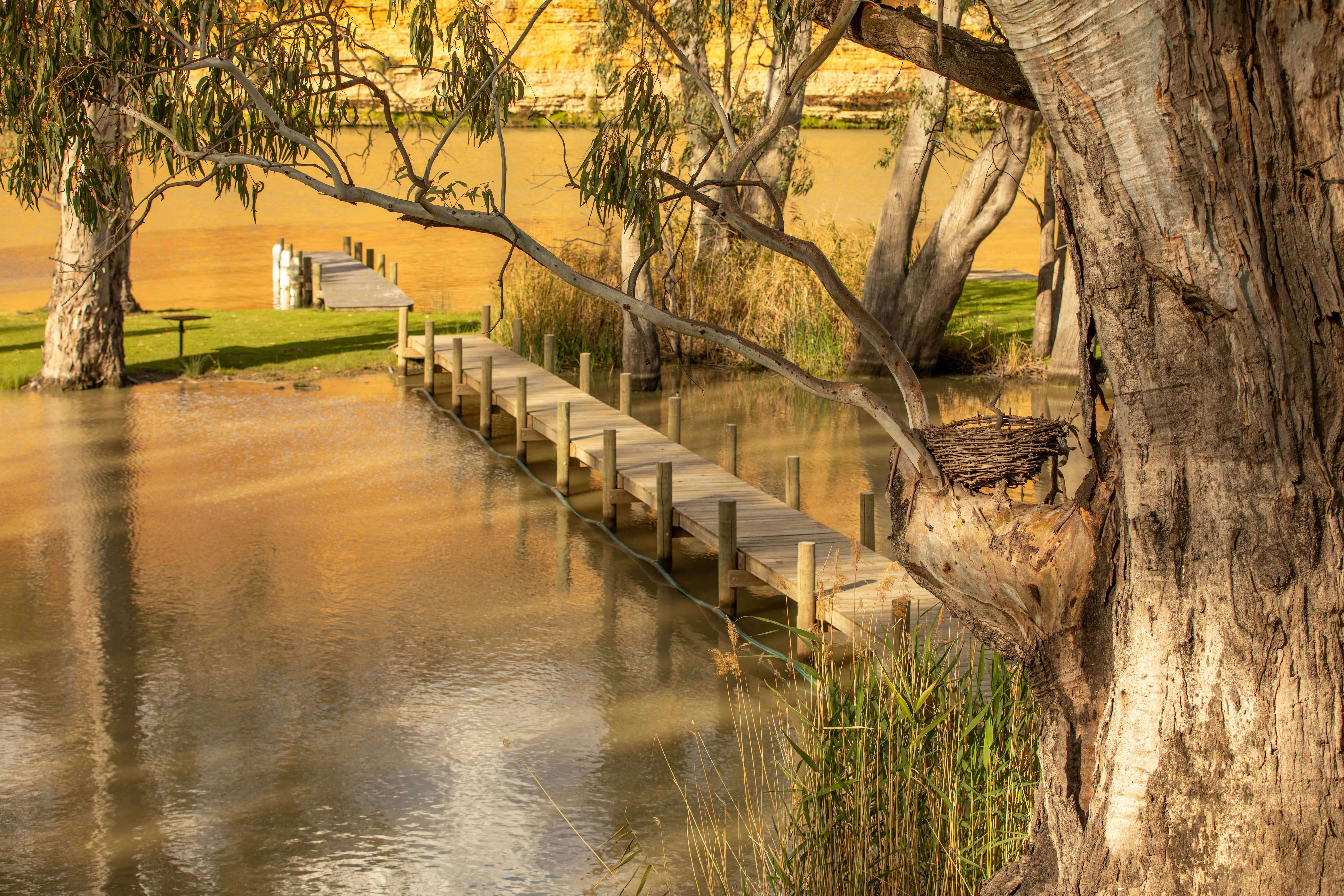 Bird watchers delight