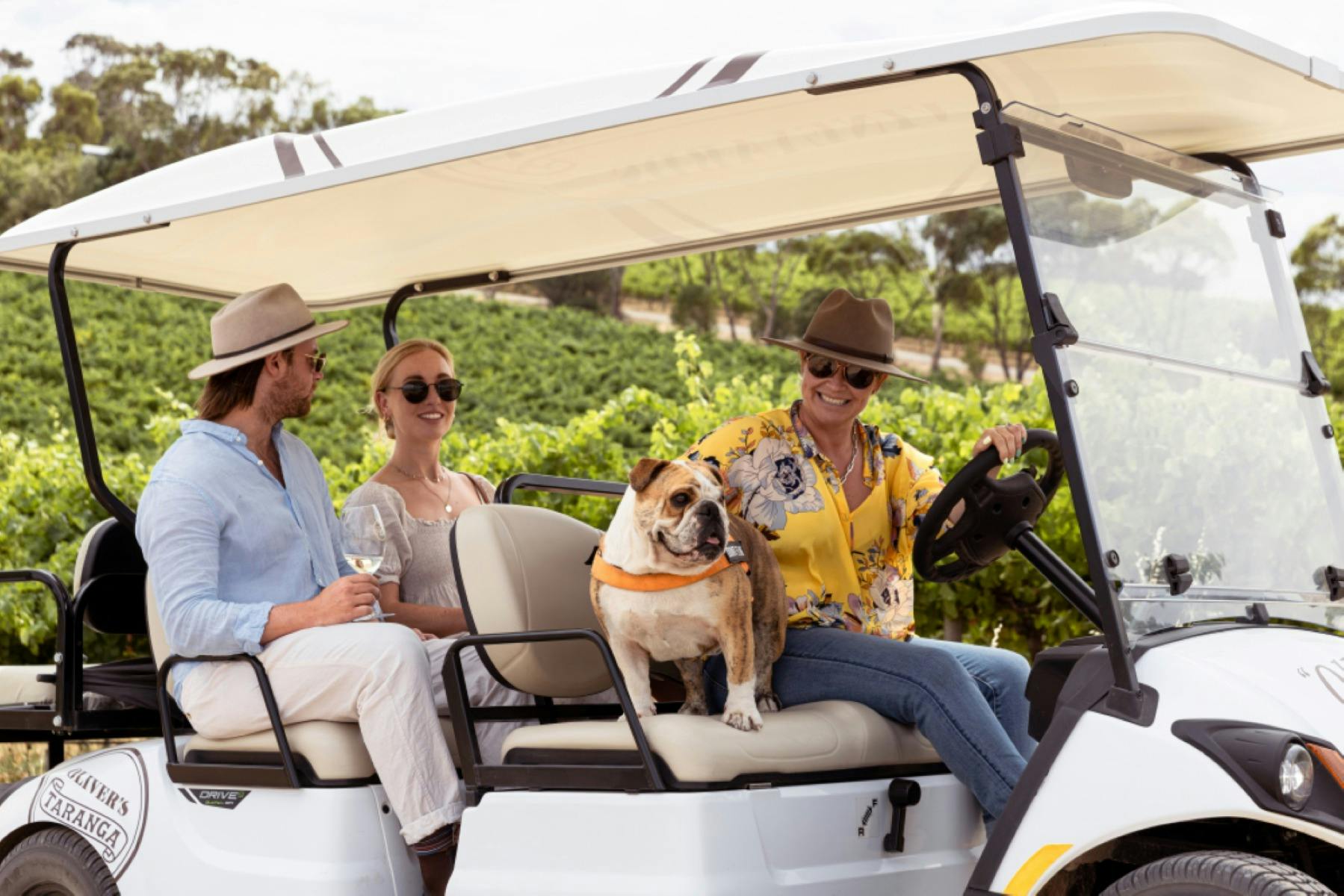 SummerVines: Taranga Terroir Tour
