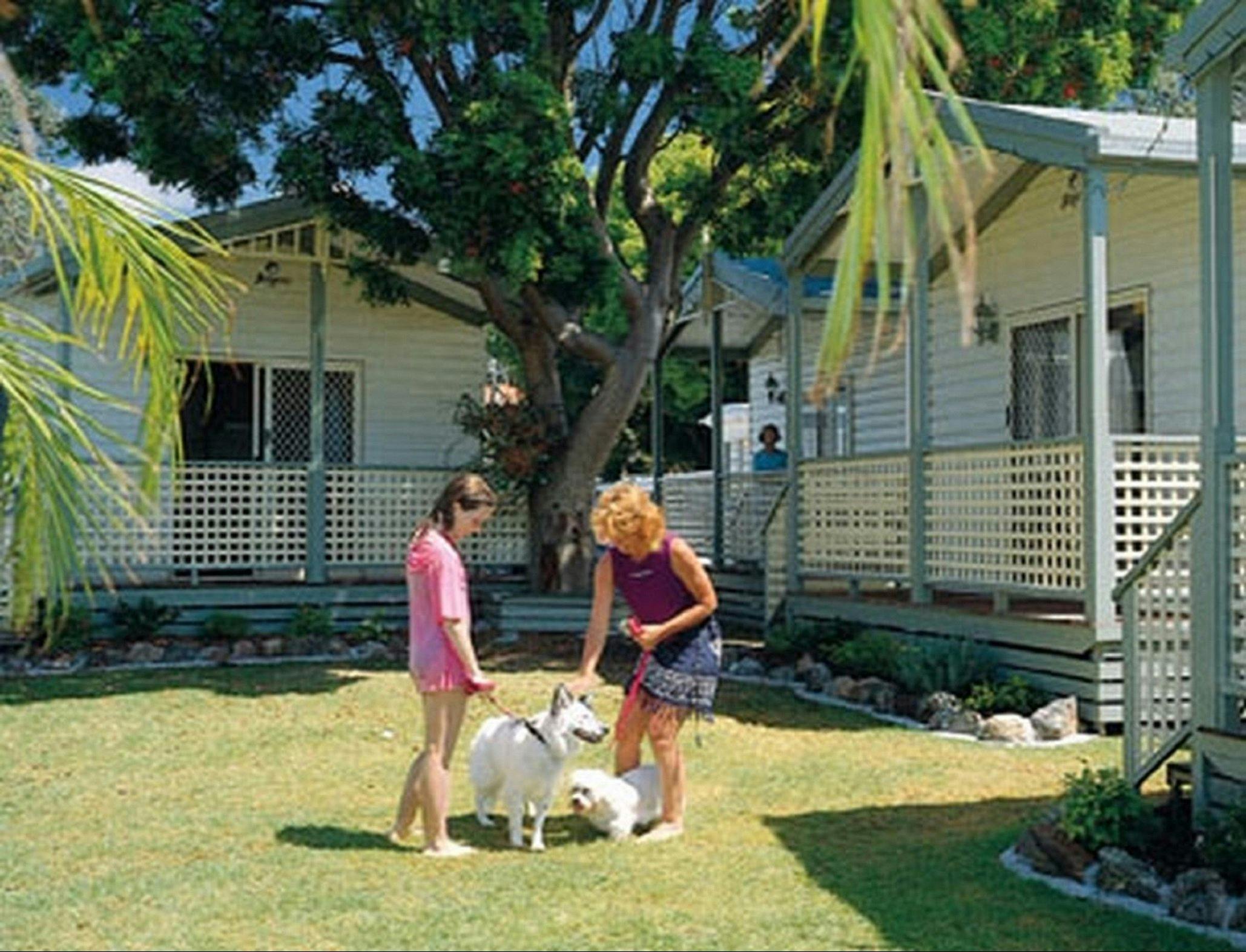 パラダイスパームスキャリーベイ