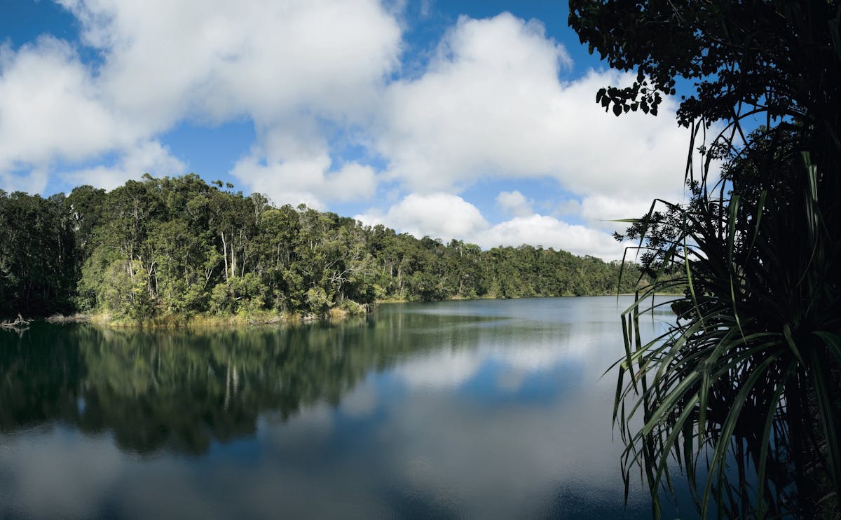 View over water to rainforest from viewing deck