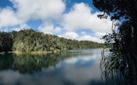 View over water to rainforest from viewing deck