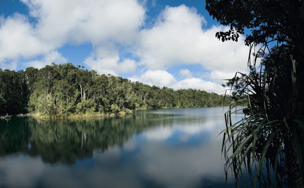 View over water to rainforest from viewing deck