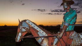 The Drover