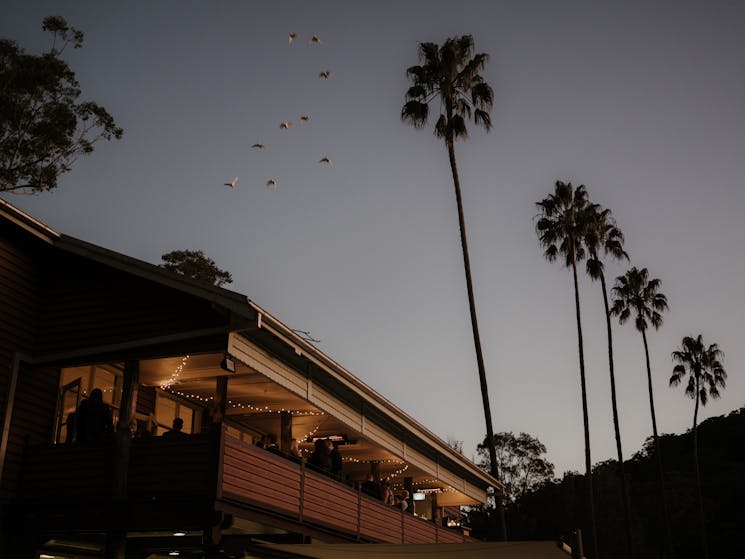 sunset in background with tall palm trees and audley dance hall verandah with wedding guests