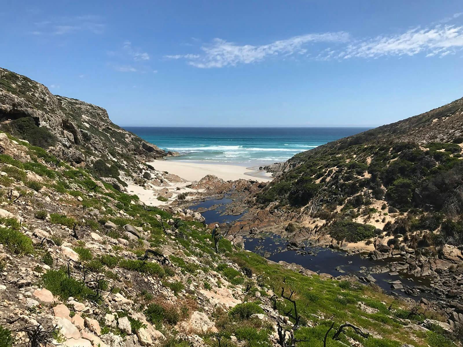 Kangaroo-Island-Wilderness-Trail-(KIWT)-river-outlet
