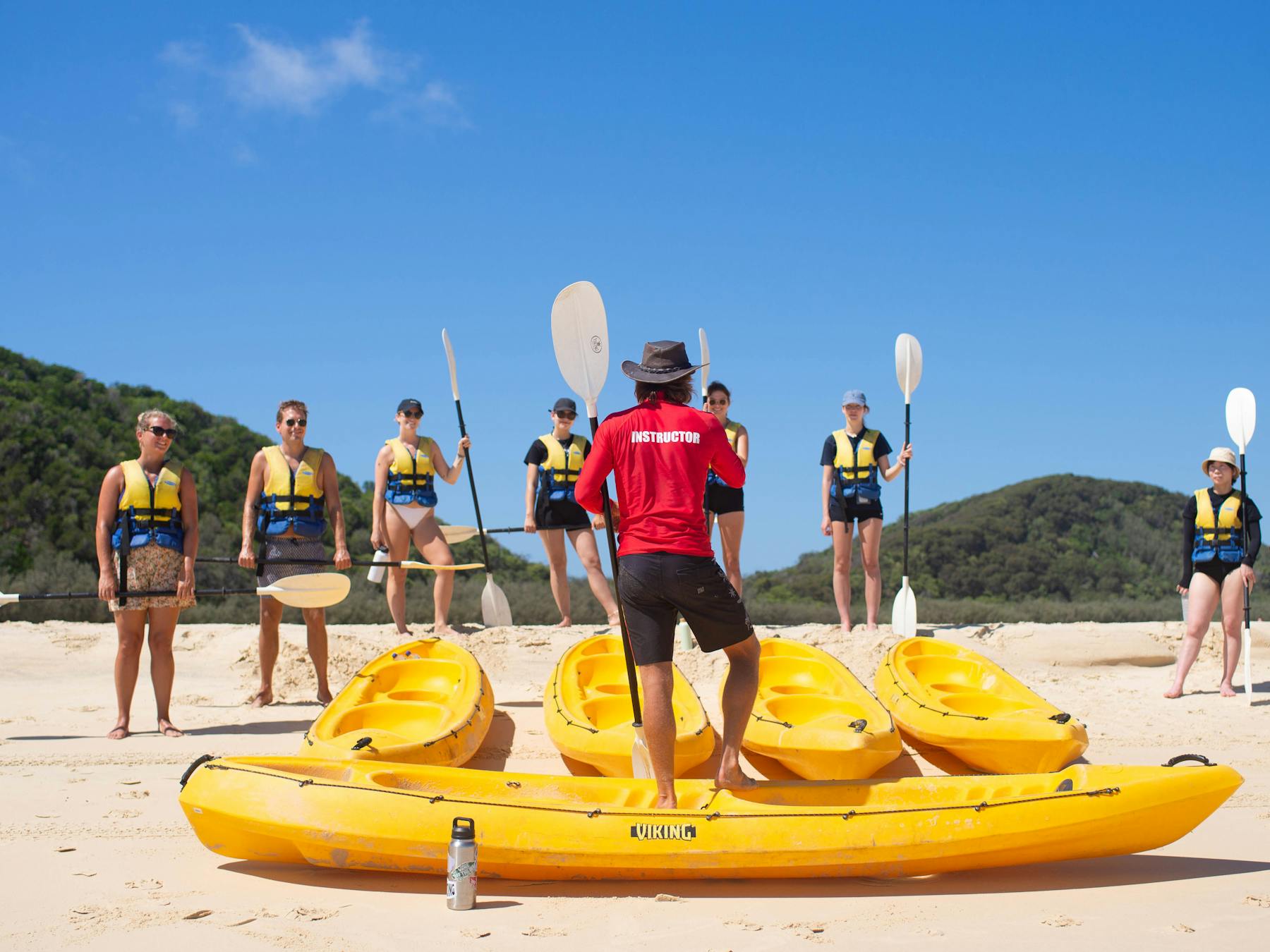 Guided Dolphin Ocean Kayak Tours