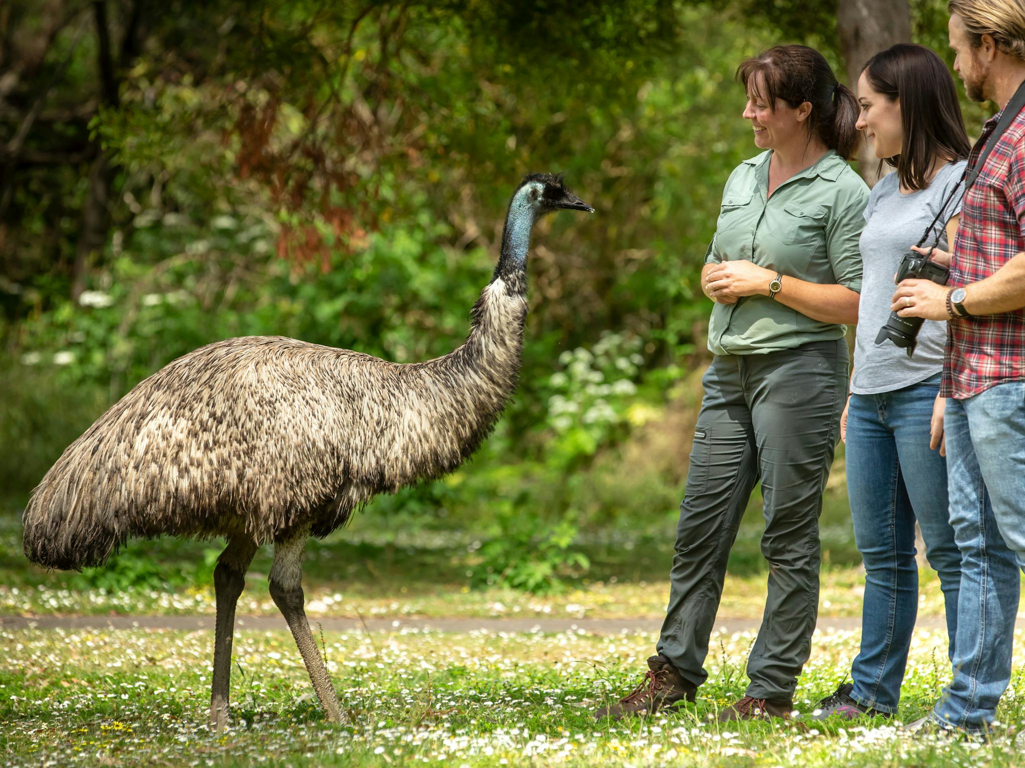 Great Ocean Road Worn Gundidj at Tower Hill