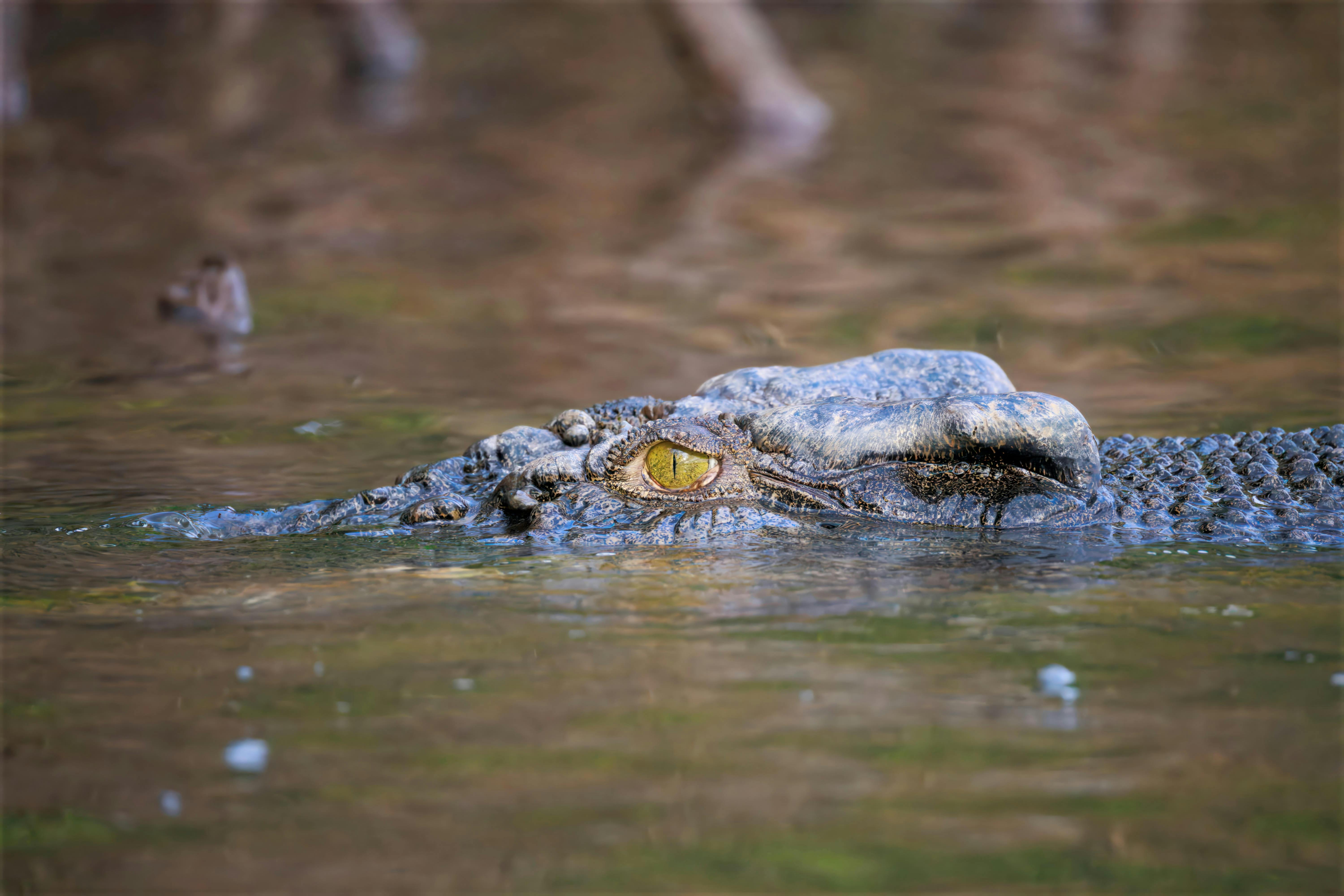 Andrew Tunney Photography