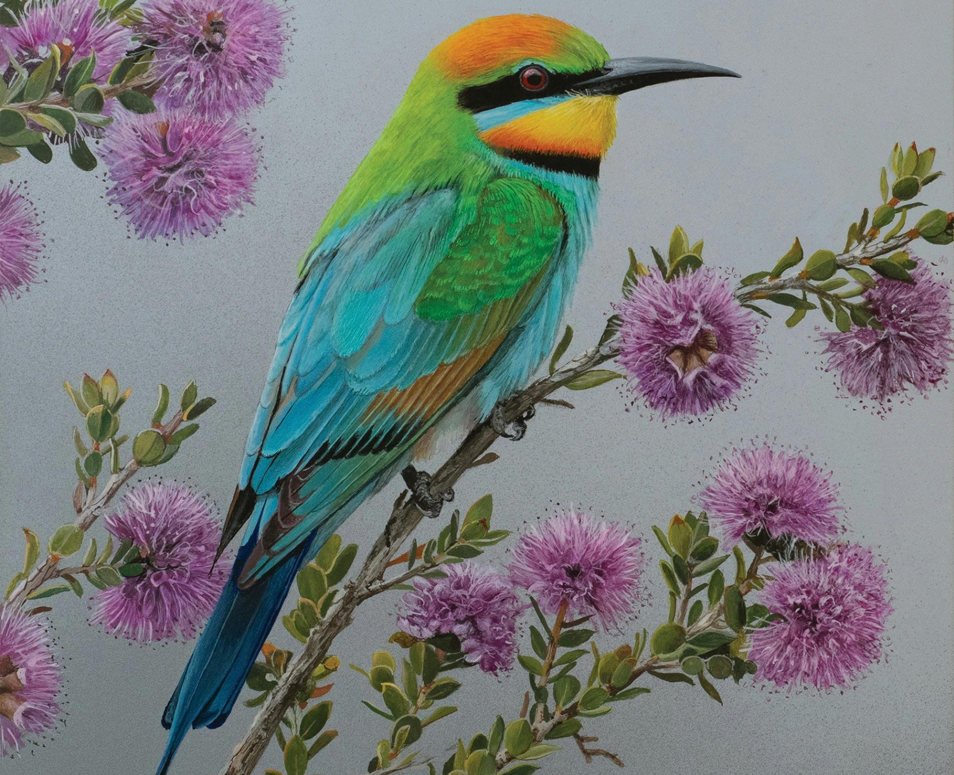 Rainbow Bee-eater Painting by Greg Oakley