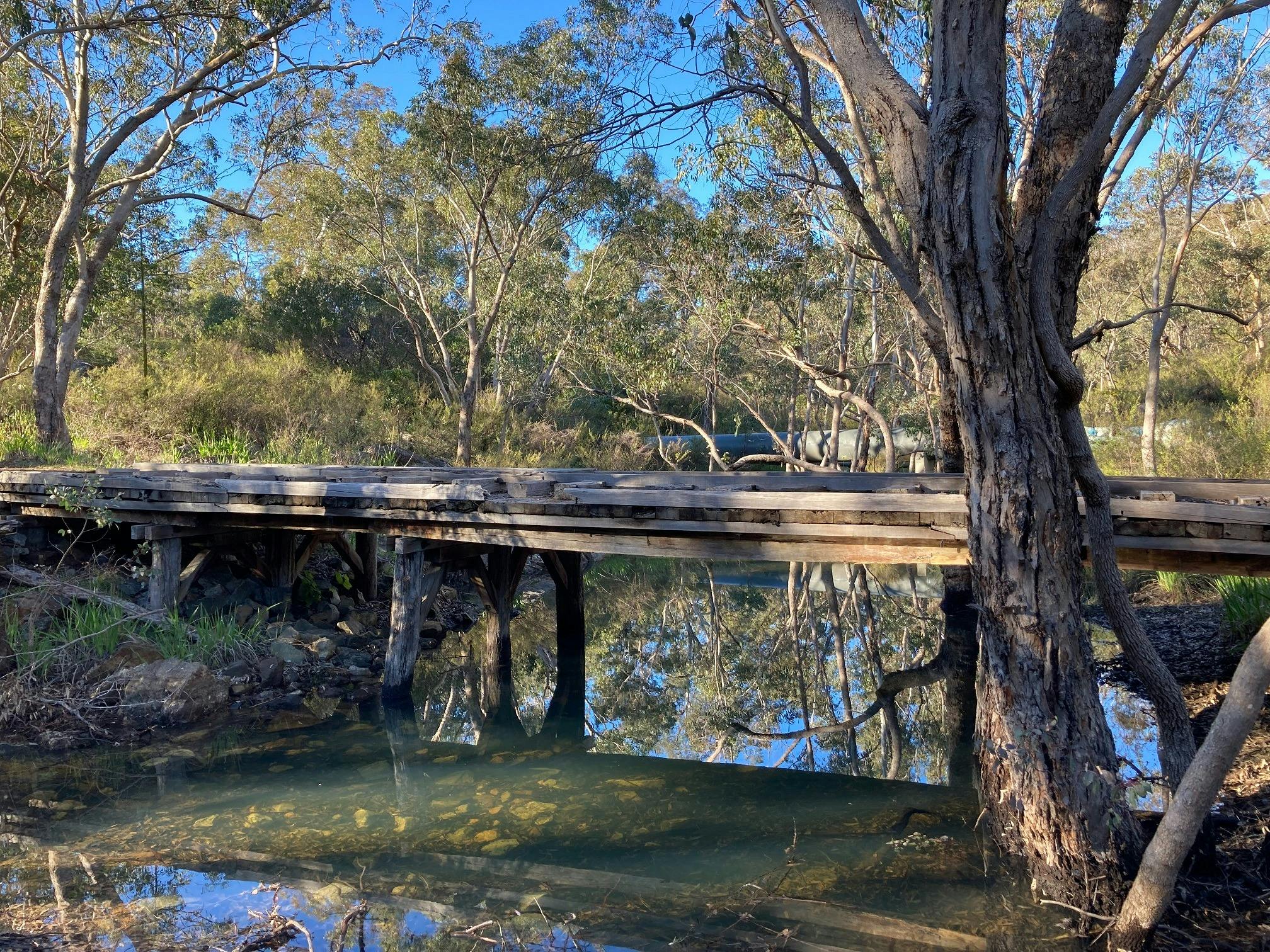 Bickley Valley Hiking Experience