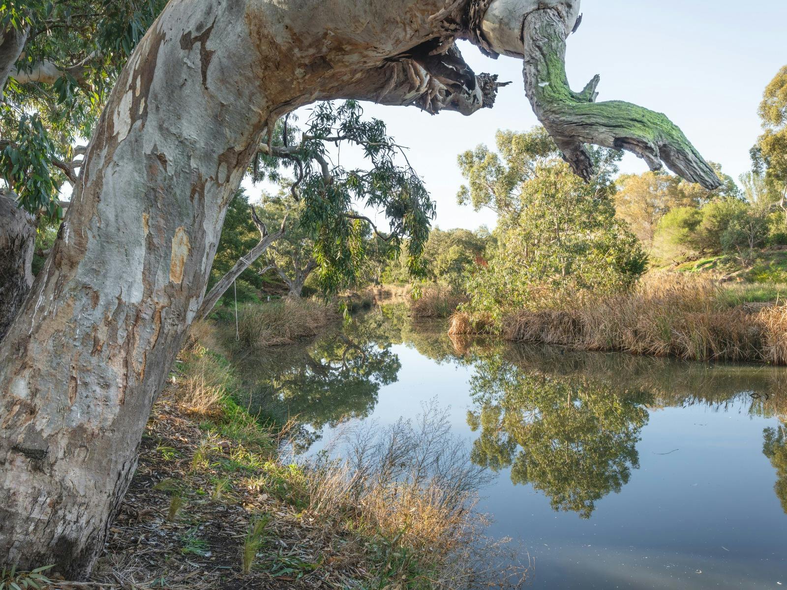 Kororoit Creek