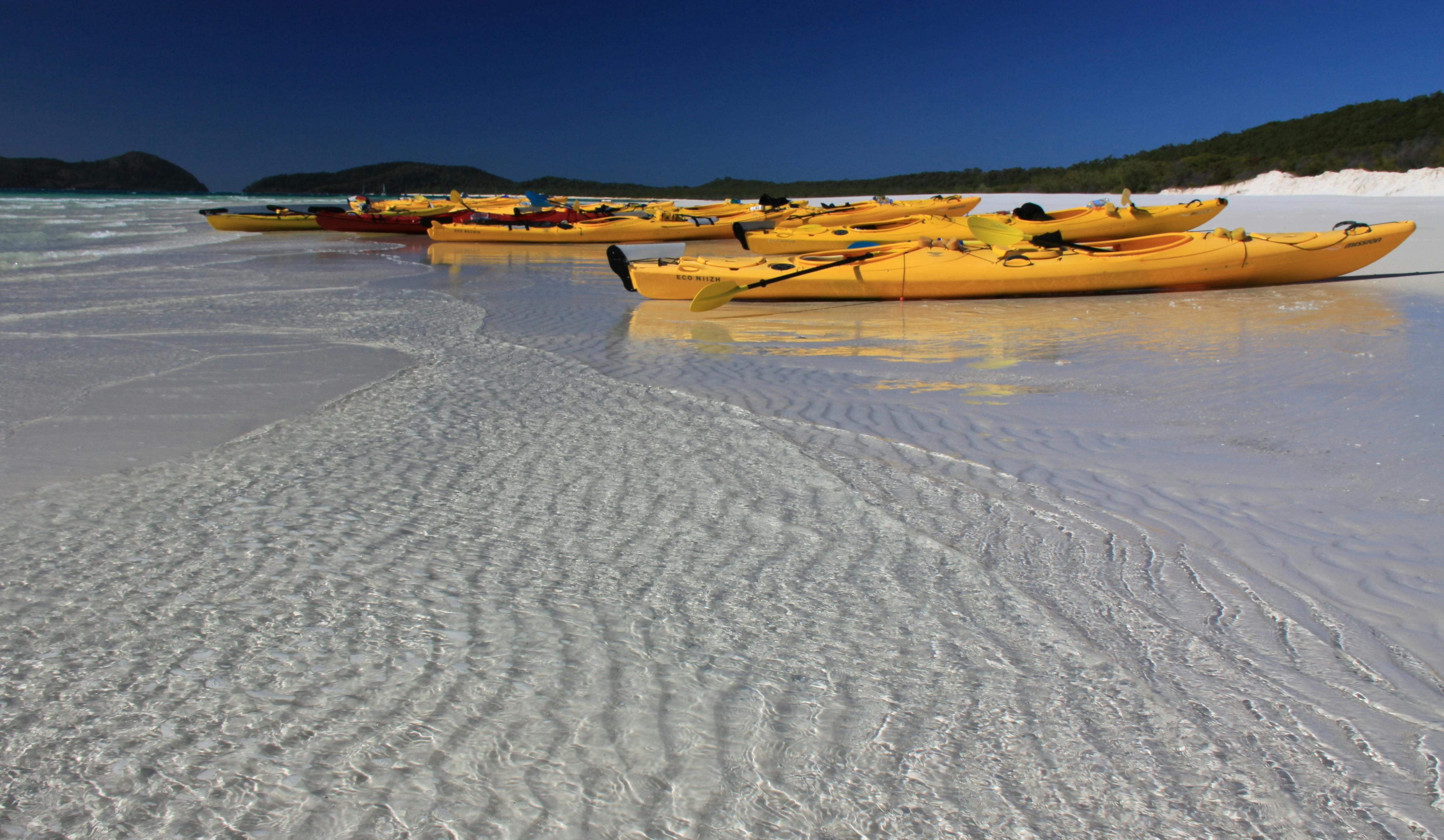 Kayaks at Whitehaven