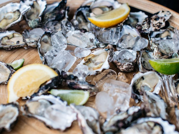 Fresh seafood on Tweed River Pot to Plate Cruise