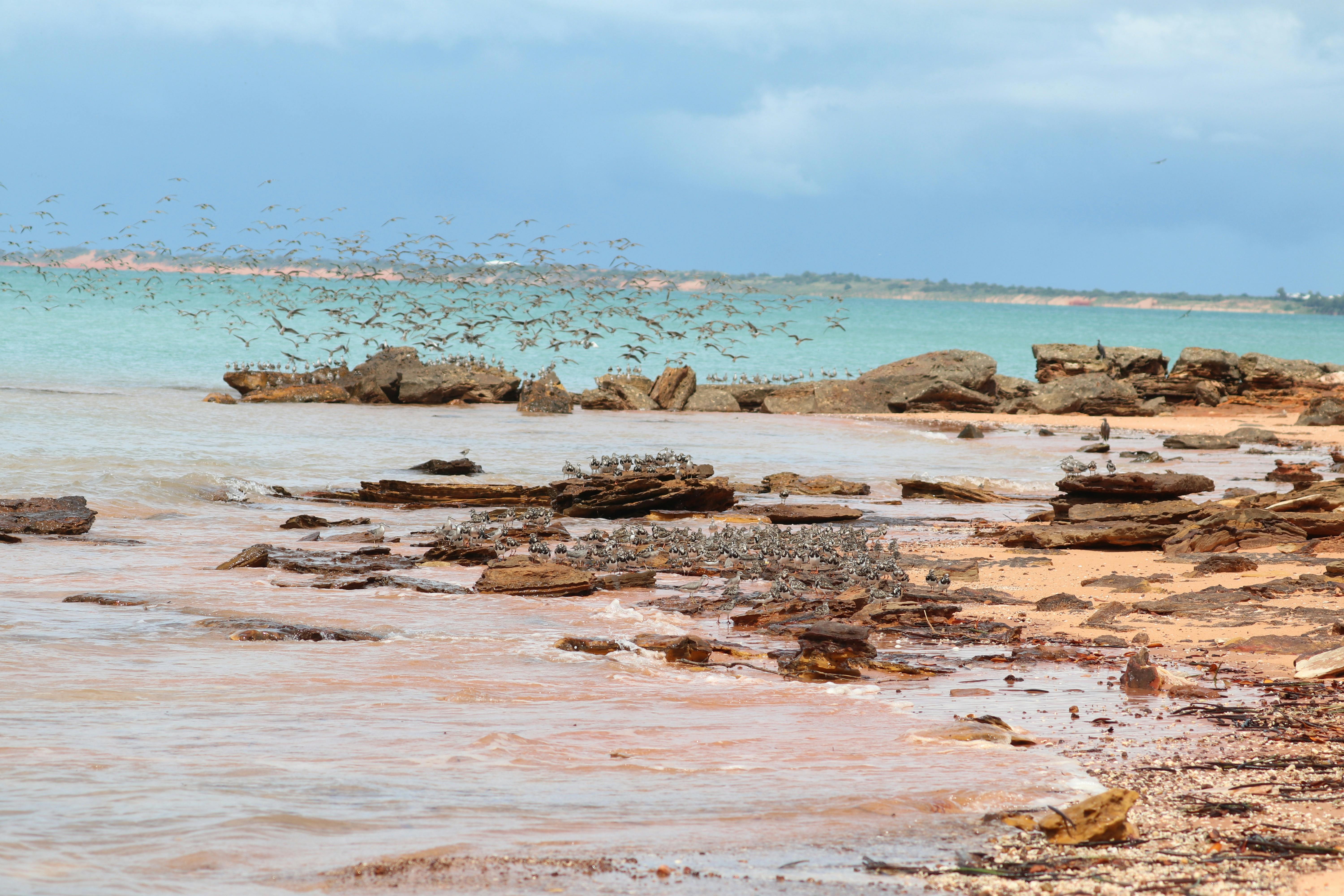 Full Day Coastal Tour