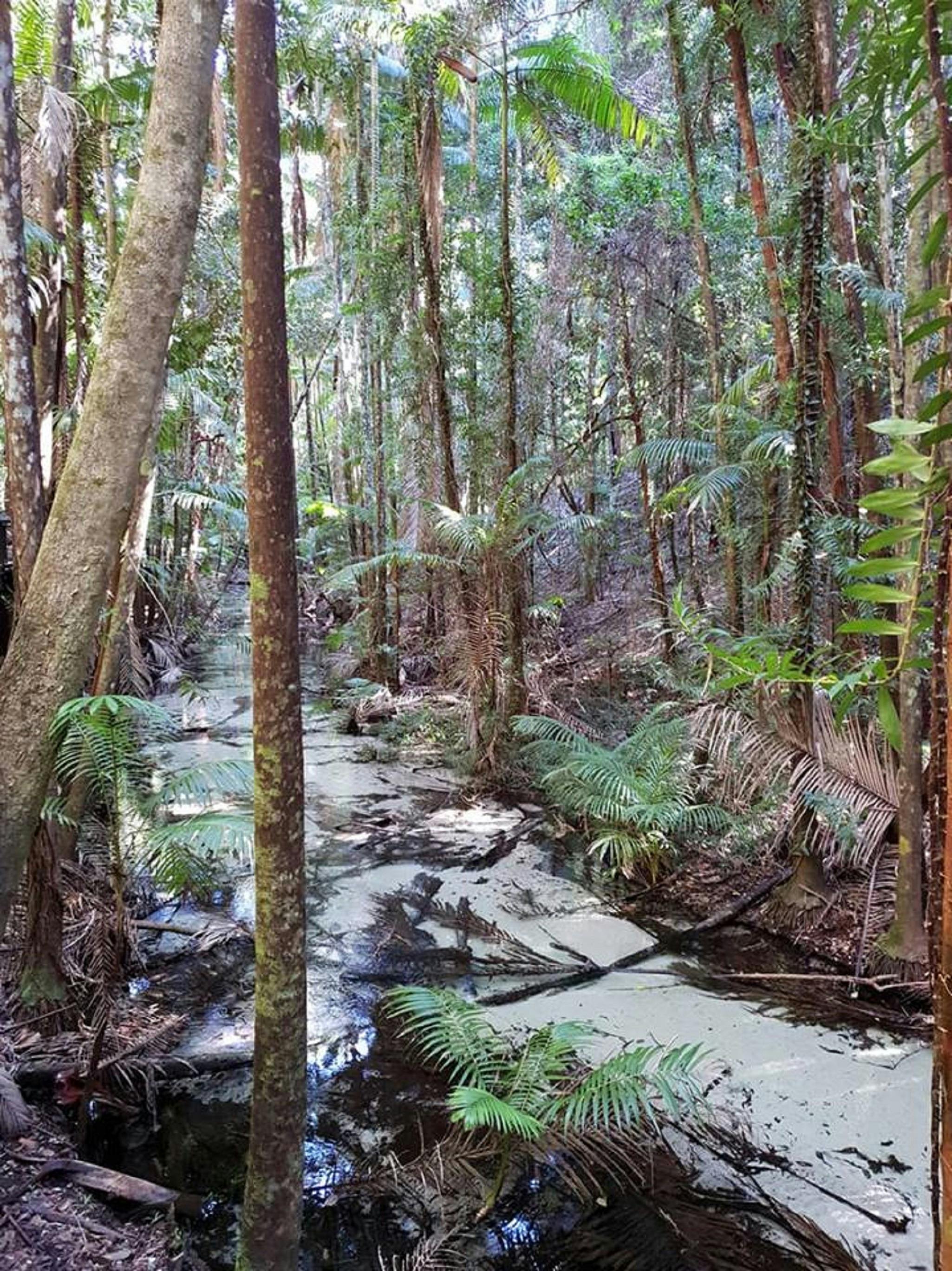 Australia Fraser Island Escape