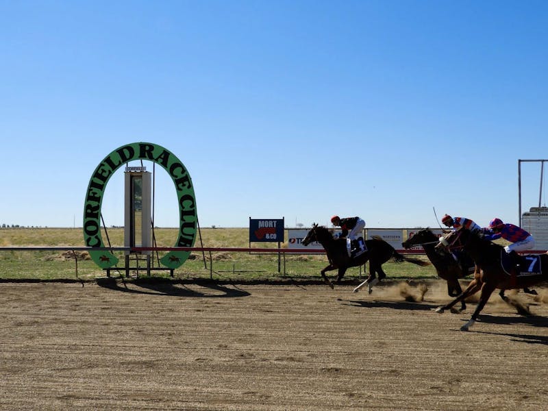 Image for The Corfield Races - 125 yr Celebration