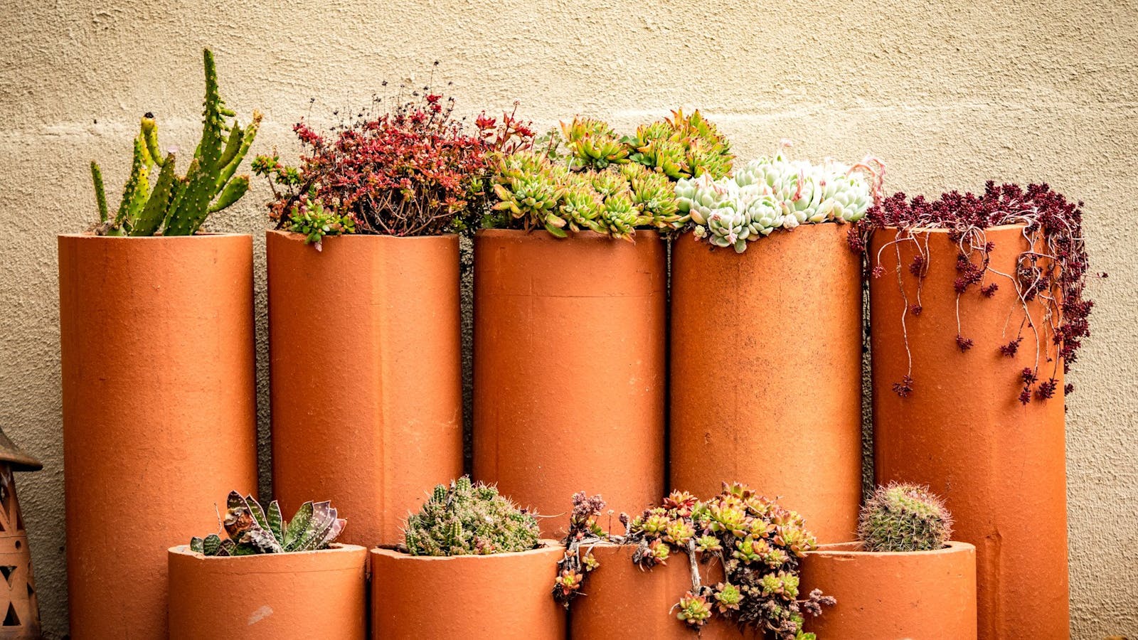 Image for Tumbarumba Spring Flower Festival