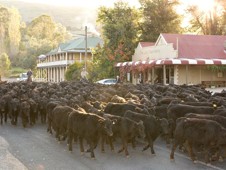 Traditional Country Scene outside the Long Track Pantry in Jugiong