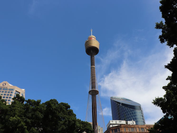 Sydney Eye Tower
