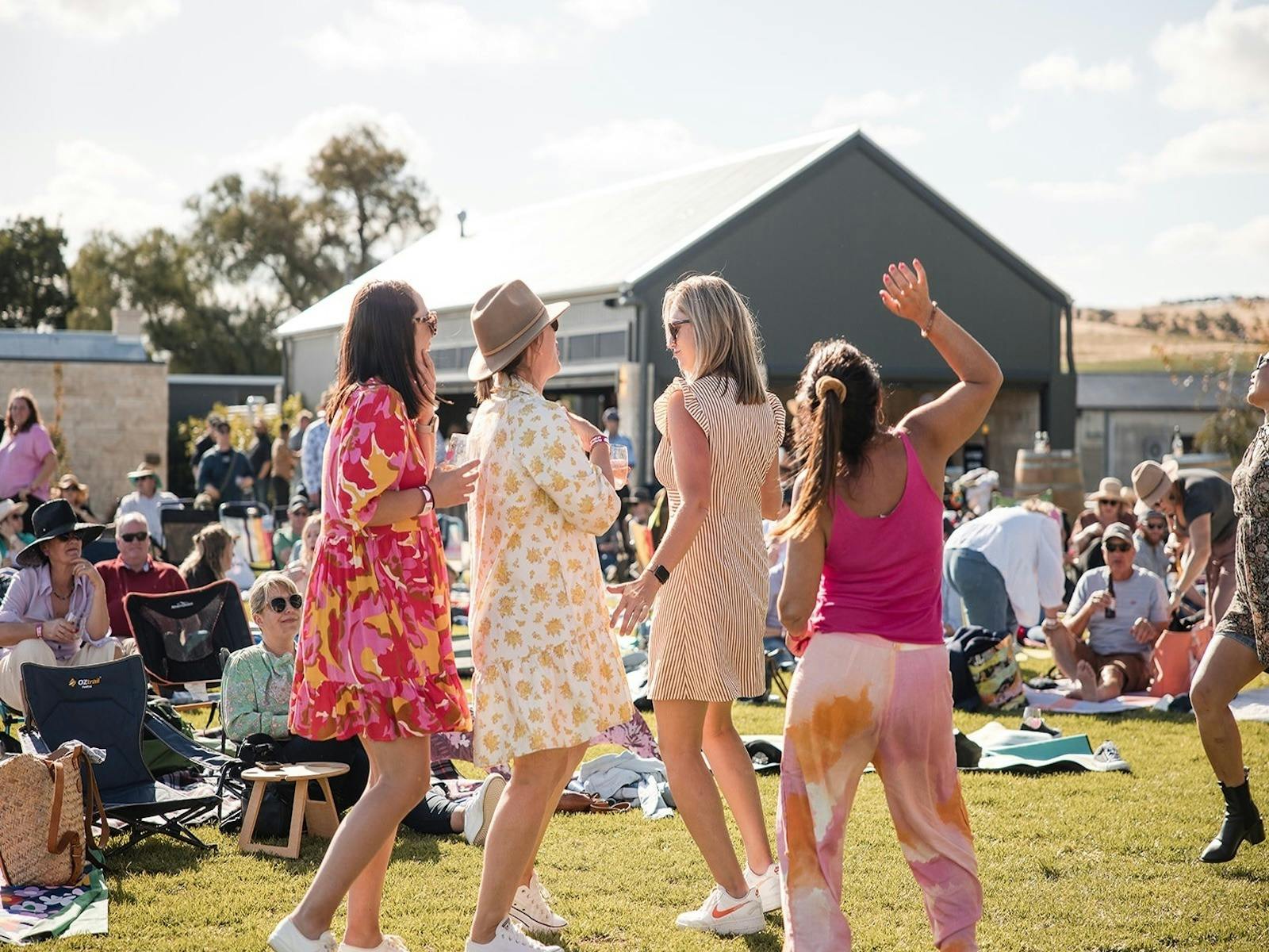 Vines and Vibes at Taylors Wines