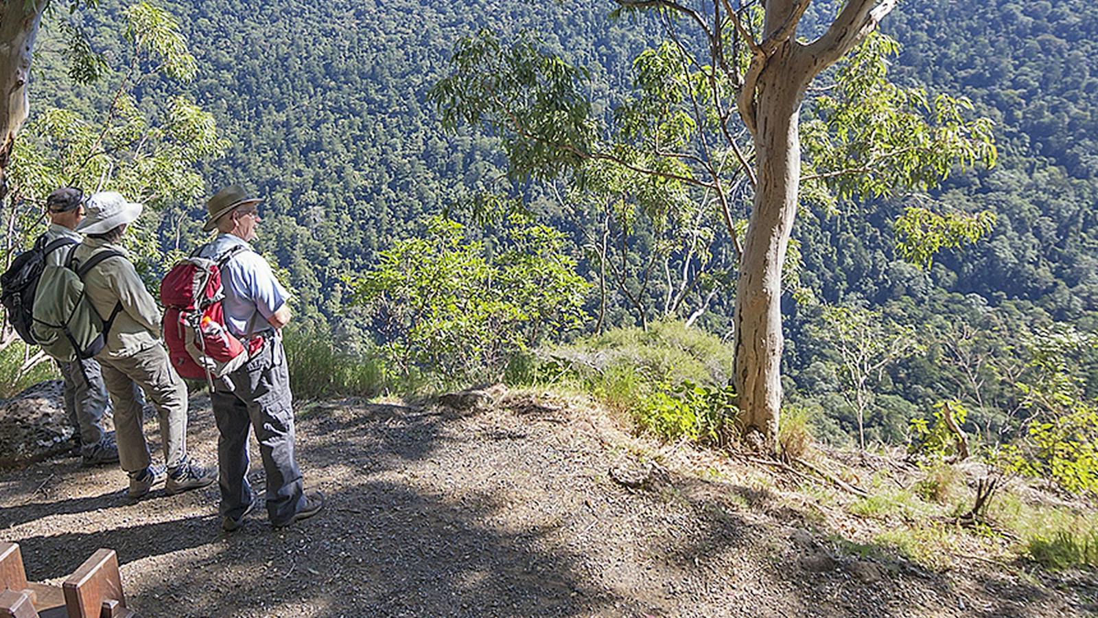3 walkers taking in views of forested slopes of Coomera Valley.
